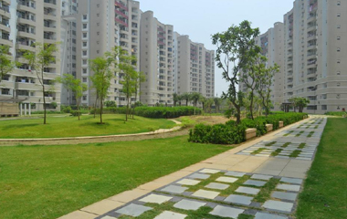 295x180xolive1.jpg.pagespeed.ic.bYN6Ujpqul